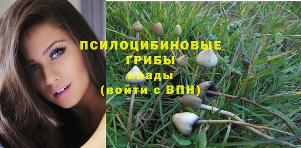 ECSTASY Абдулино