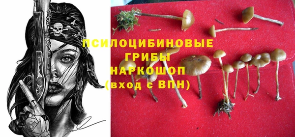 apvp Нягань