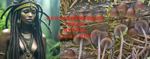 спайс Няндома