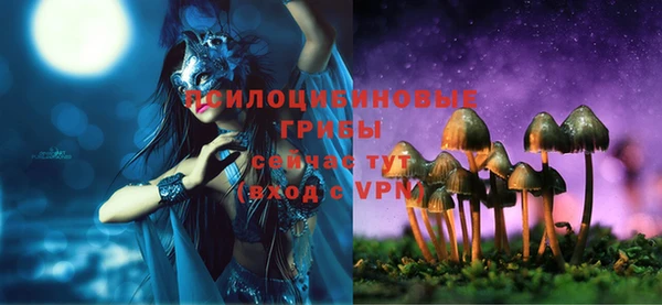 МДПВ Абинск