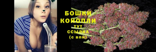 apvp Нягань