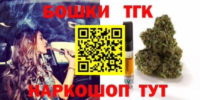 гашик Нарткала